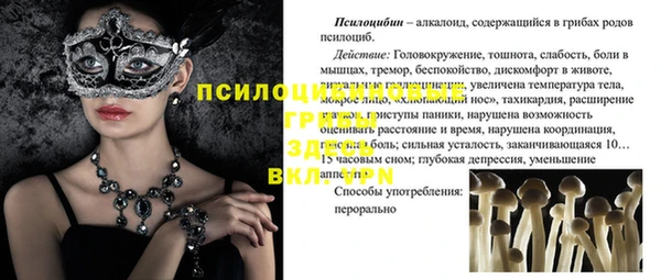 ALPHA PVP Алексеевка