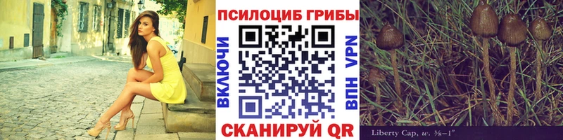 Псилоцибиновые грибы мухоморы  Изобильный 