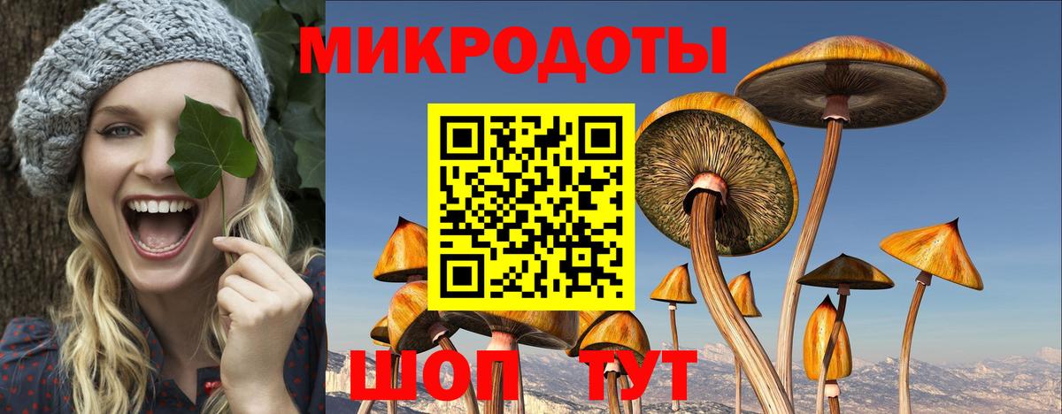 Псилоцибиновые грибы Psilocybe Изобильный