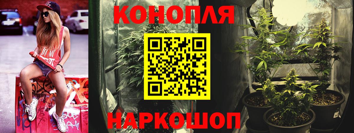 Бошки марихуана конопля Изобильный